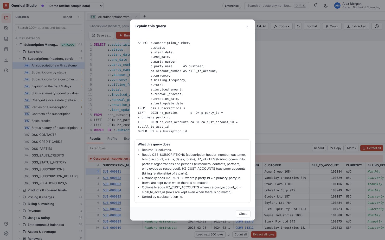 Plain-English explanation of a query